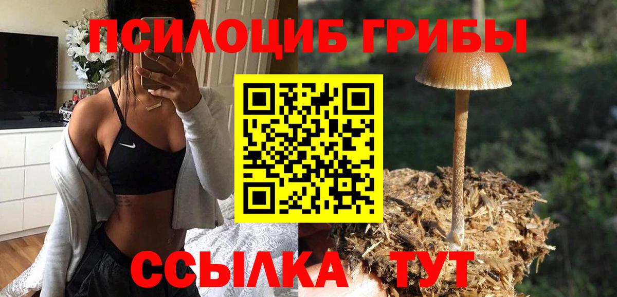 Псилоцибиновые грибы MAGIC MUSHROOMS  Вход с VPN  Изобильный  Галлюциногенные грибы мухоморы 