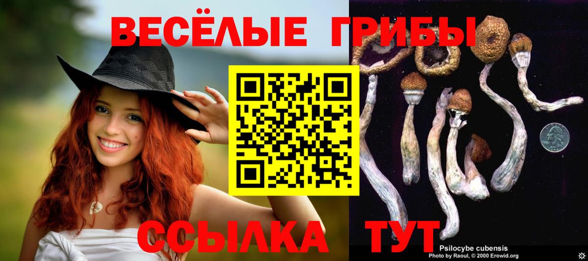 Псилоцибиновые грибы Изобильный